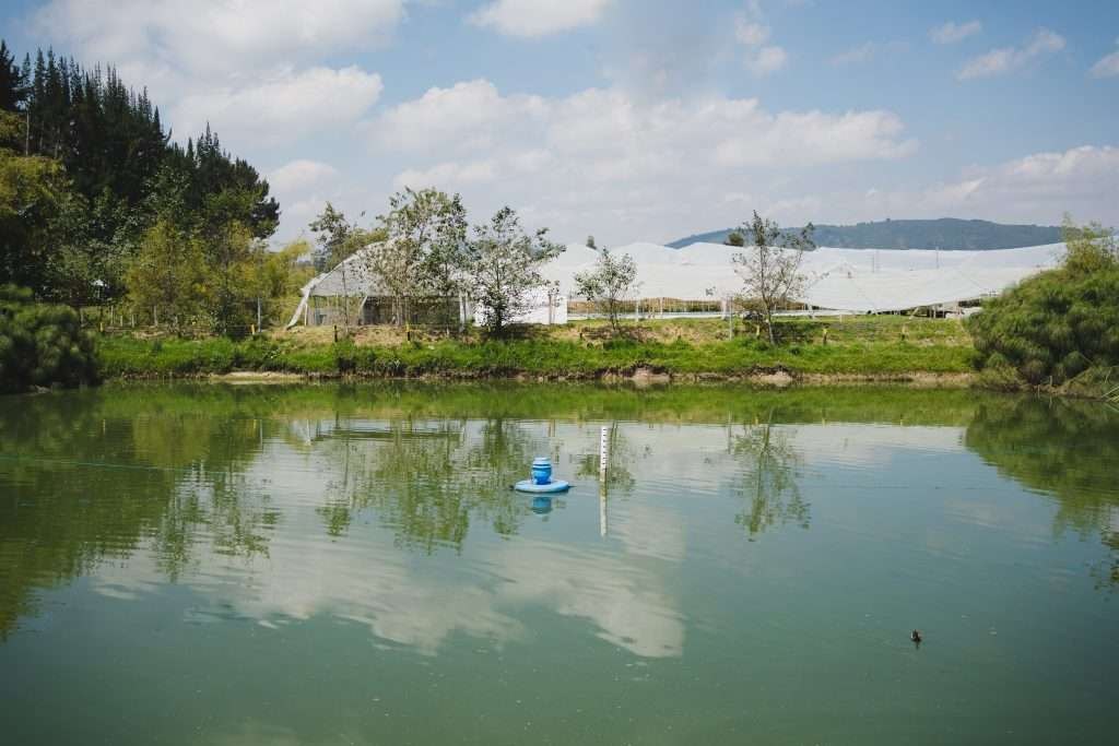 A reservoir on the farm that captures and reuses water for irrigation