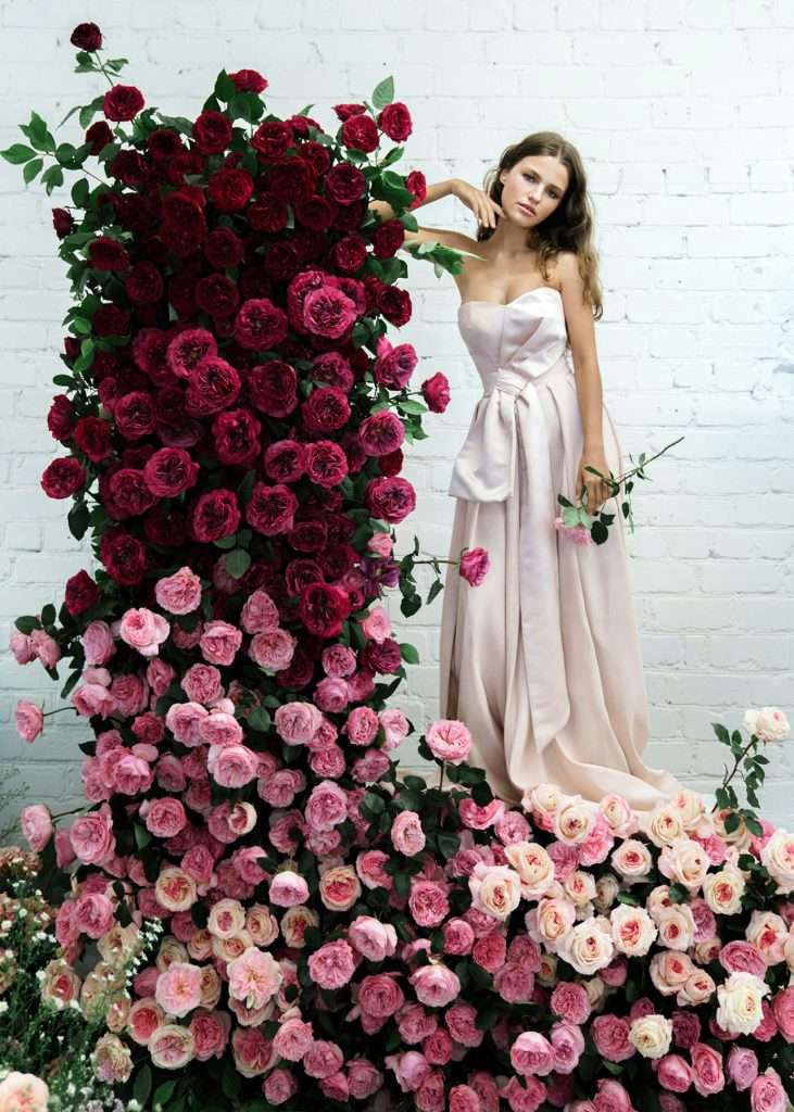 Model beside cascading wall of red and pink garden roses