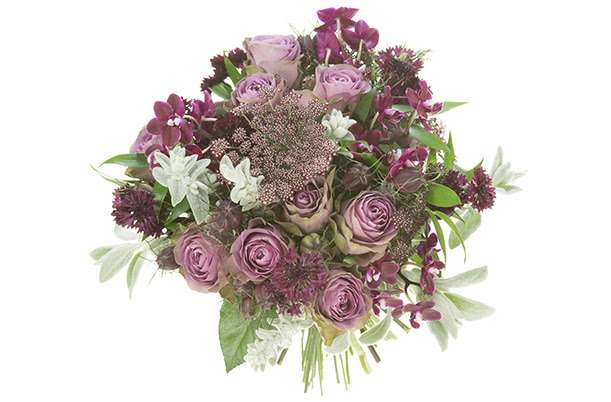 A round bouquet of mauve and lavender garden roses with scabiosa, against white.