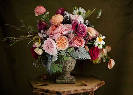 Garden rose arrangement in weathered urn with dusty miller and ranunculus