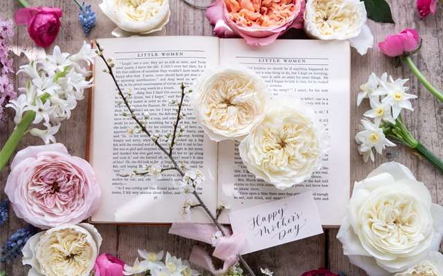 An open book surrounded by cream and pink garden roses and blossom, seen from above.
