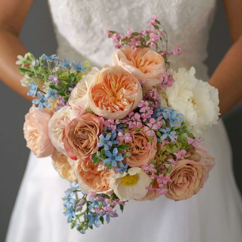 Bride holding peach garden rose bouquet with blue and pink accents, Nicole Braghin entry