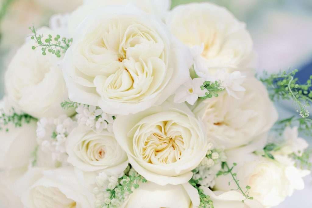 Close-up of a white David Austin garden rose bridal bouquet with delicate greenery