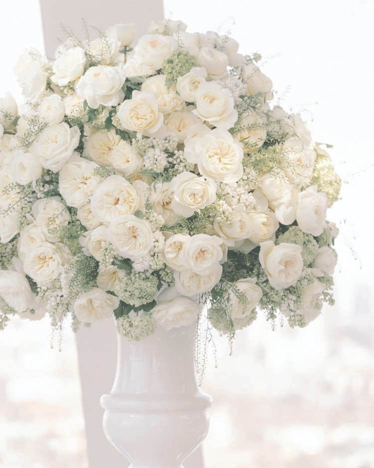 Large urn arrangement of ivory Leonora garden roses with green filler