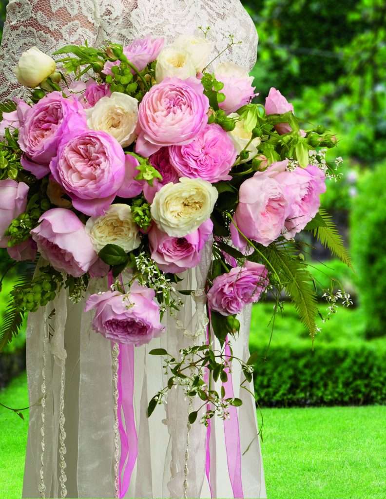 Pink and cream garden rose bridal bouquet with trailing ribbon on a lace gown