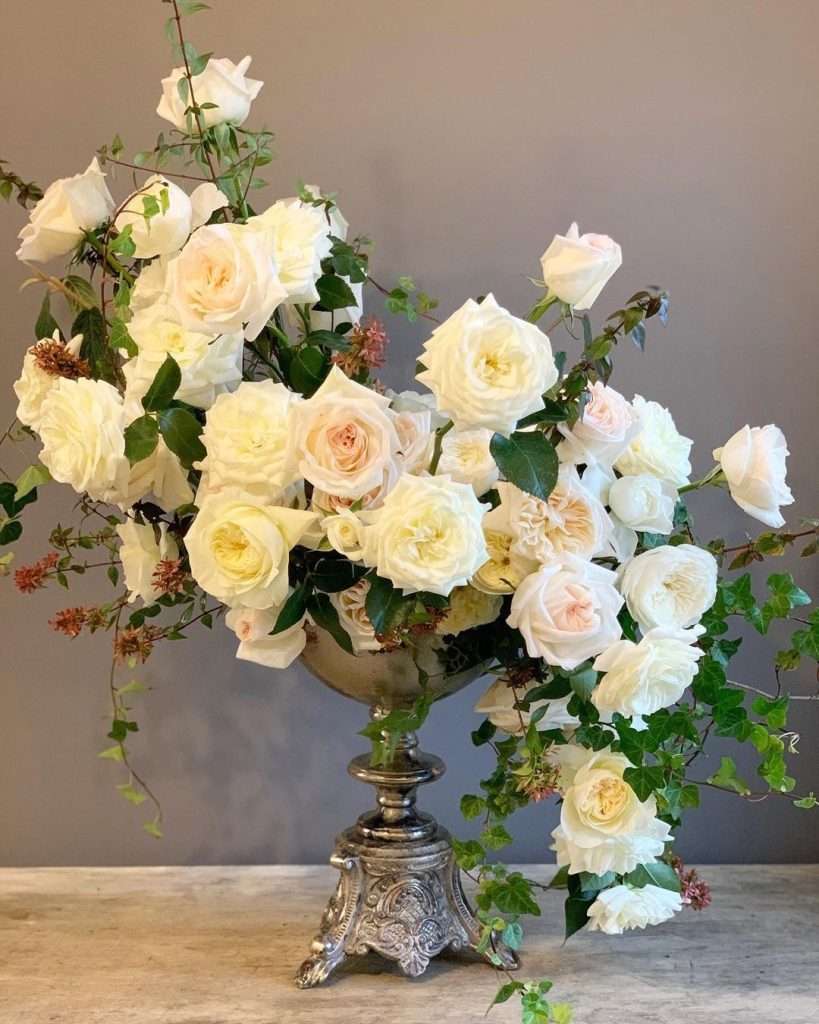 White and blush garden rose arrangement in an ornate silver urn