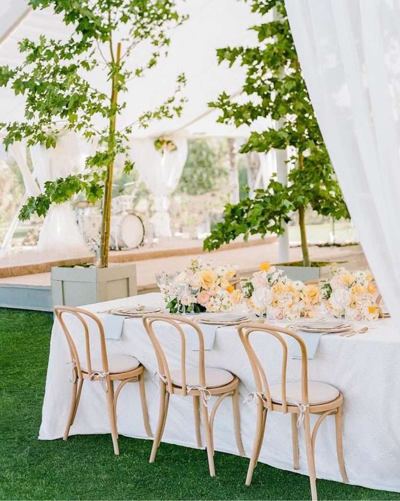Reception table with bentwood chairs and potted trees inside the tent