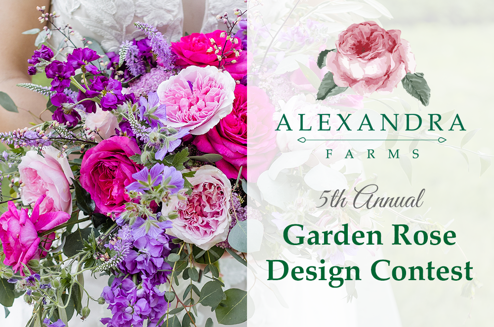 Bride's pink and purple garden rose bouquet beside 5th Annual Design Contest banner