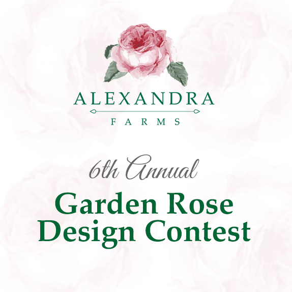 Alexandra Farms 6th Annual Garden Rose Design Contest announcement graphic