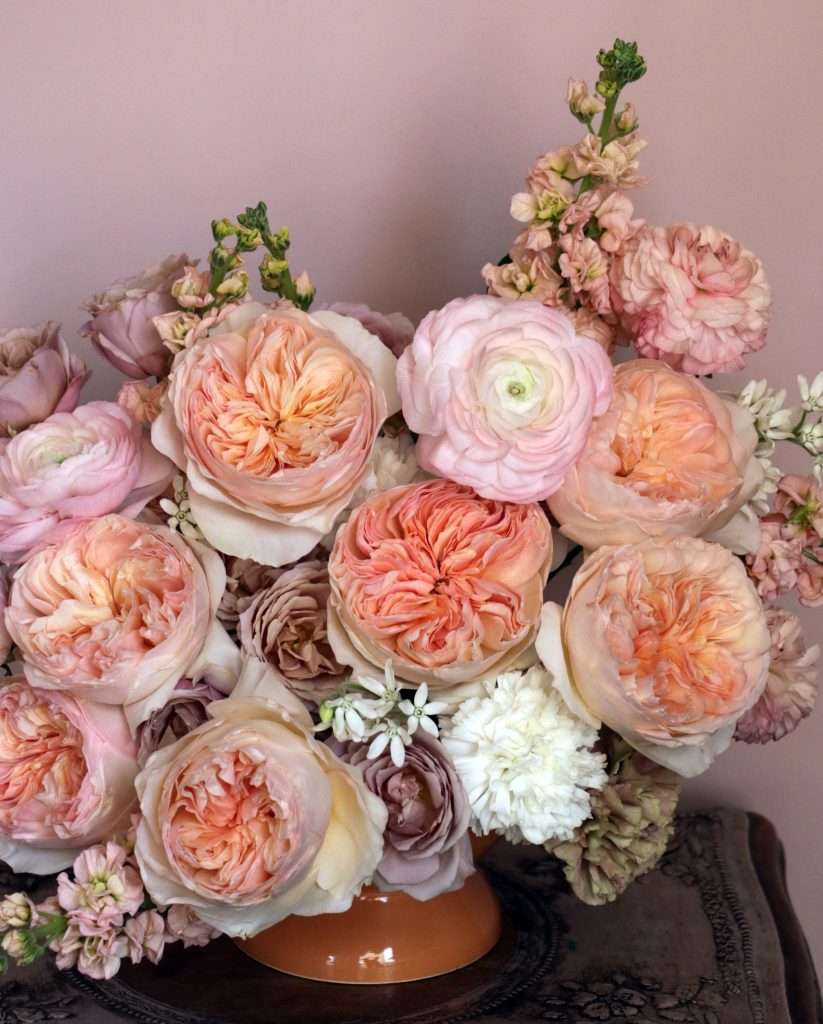Blush and coral garden roses with ranunculus in a warm-toned centerpiece