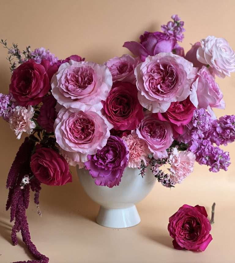 A white urn of magenta, lilac and pink garden roses with trailing amaranth, against a pale wall.