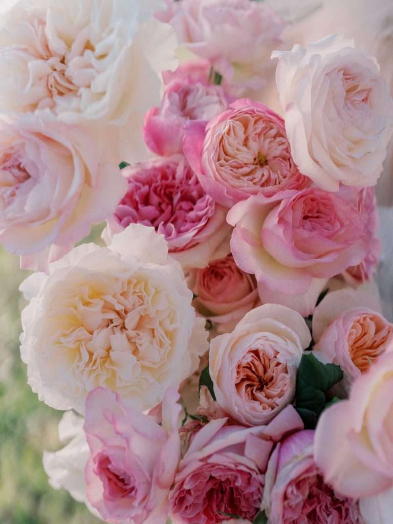 Close-up of blush, coral and cream garden roses in a bouquet