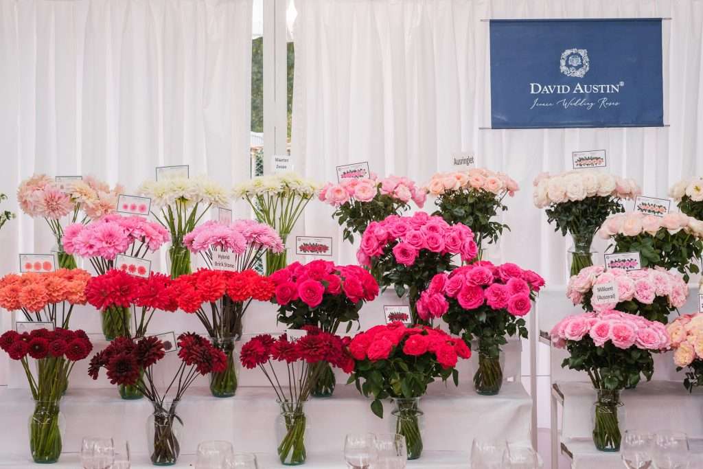 Rows of David Austin garden roses and dahlias displayed in vases with variety tags