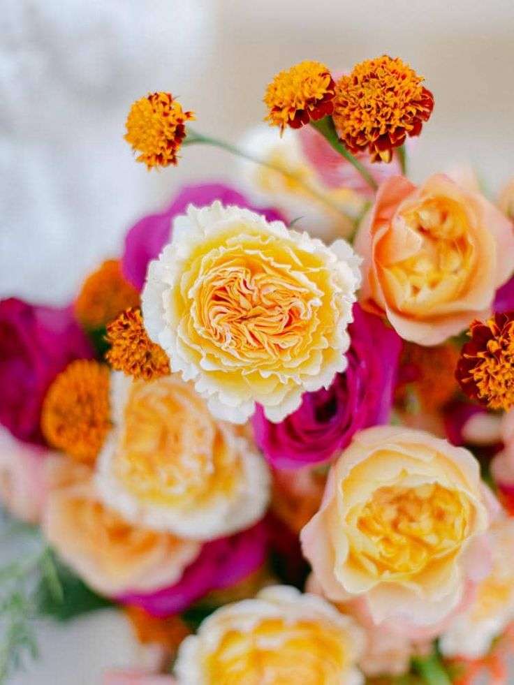 Close-up of yellow garden roses with fuchsia blooms and marigold sprays