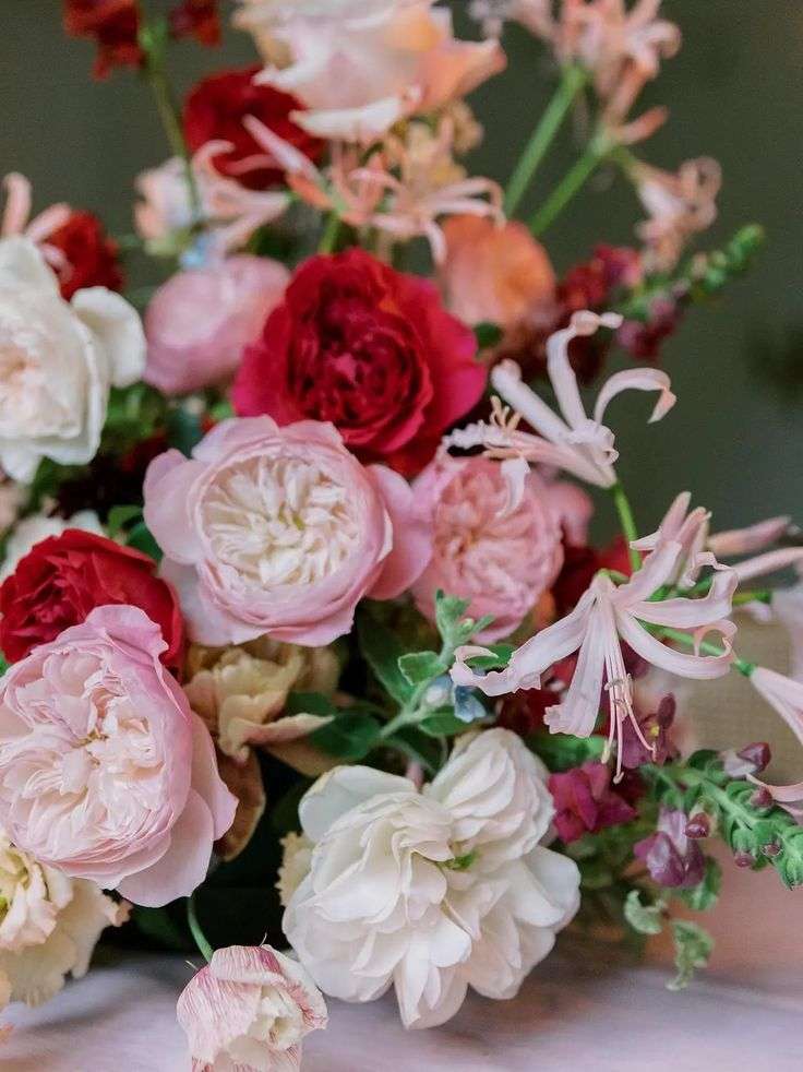 Close-up of red and pink David Austin garden roses with trailing honeysuckle blooms