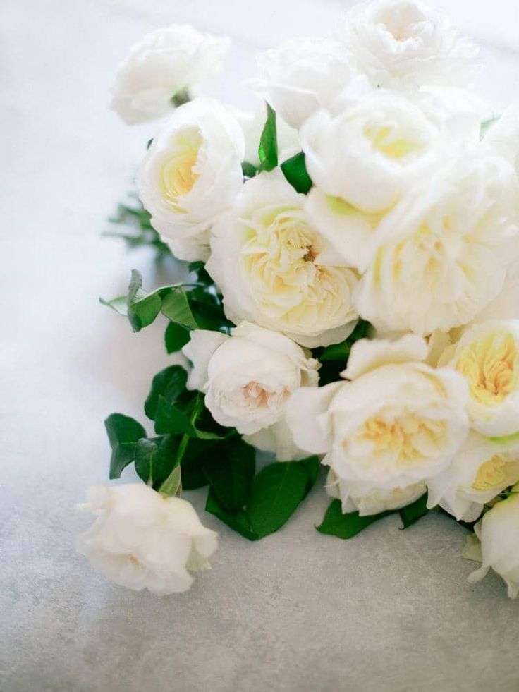 White garden rose bridal bouquet laid on a marble surface