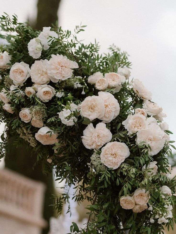 Close-up of ivory David Austin garden roses and greenery on the ceremony arch