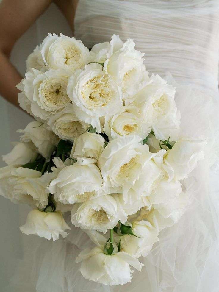 Cascading bouquet of ivory Patience garden roses held against a bridal gown