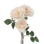 Purity™, view 3