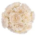 Purity™, view 4