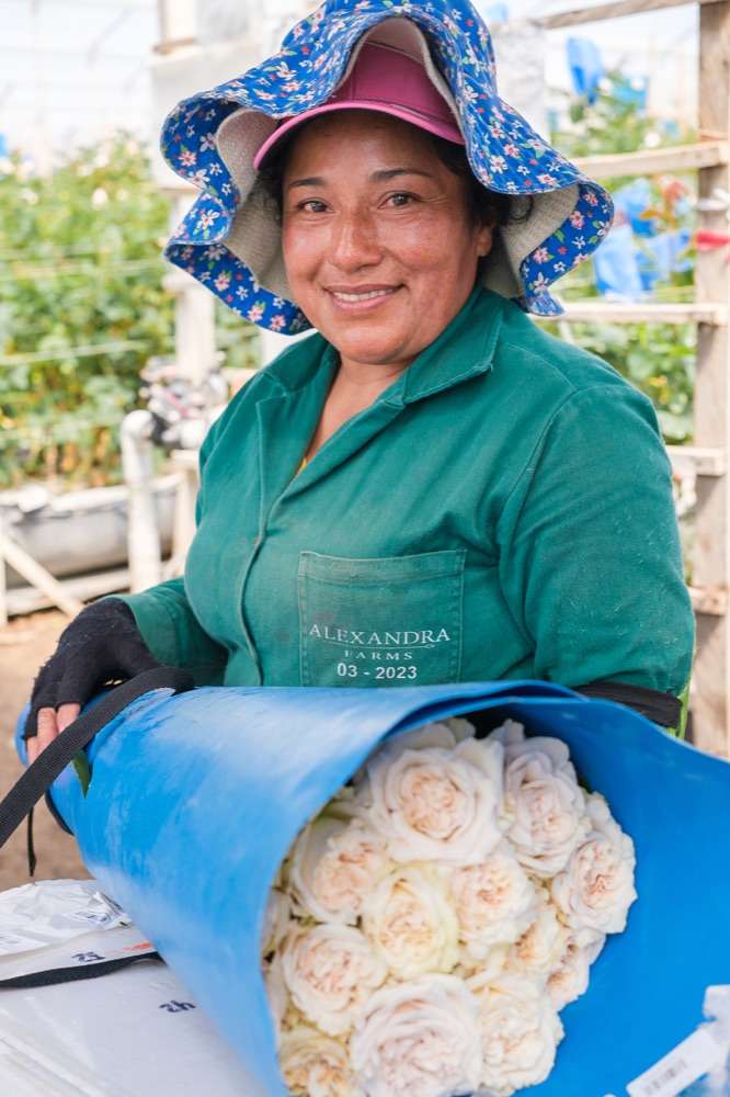 Alexandra Farms team member