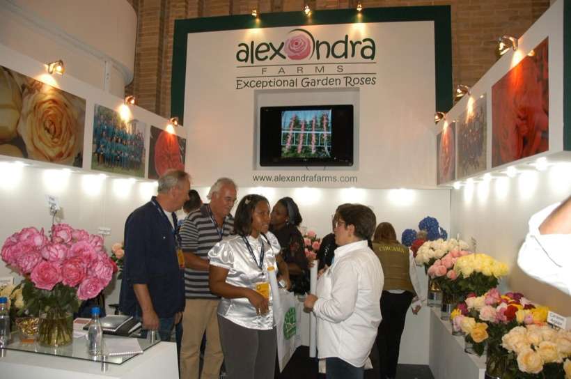 Alexandra Farms, 2009