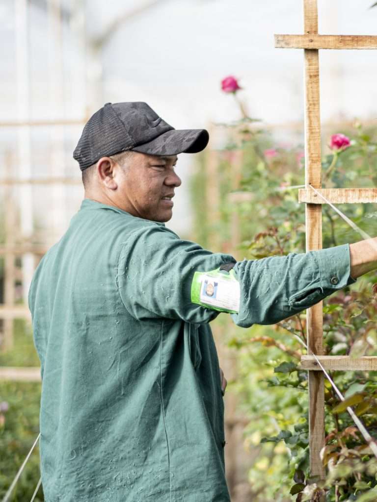 Alexandra Farms team member